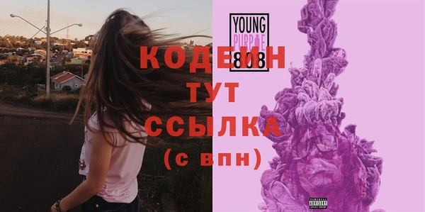 амф Коряжма