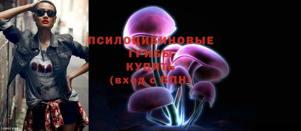 амф Коряжма