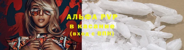 амф Коряжма
