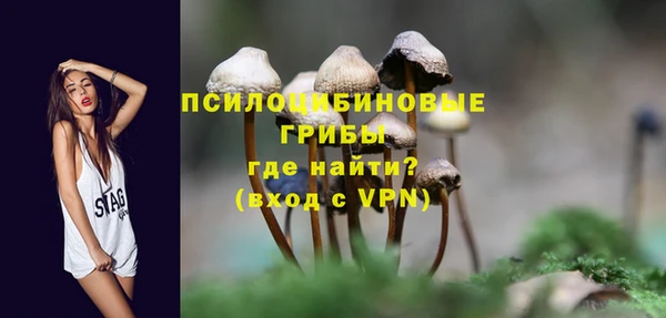 амф Коряжма