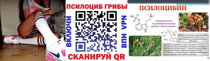 Купить  Моршанск  Галлюциногенные грибы мицелий 
